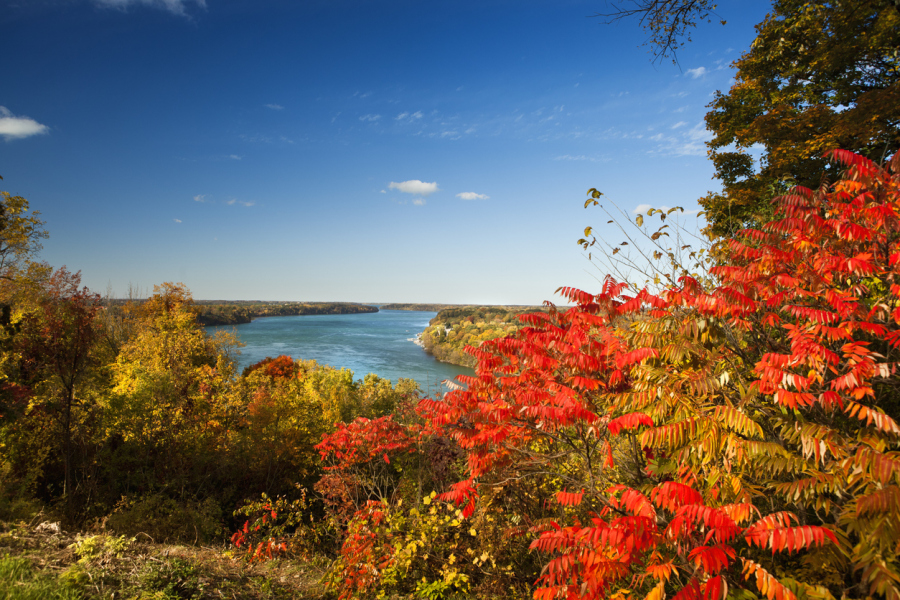 View of the Niagara River in the fall