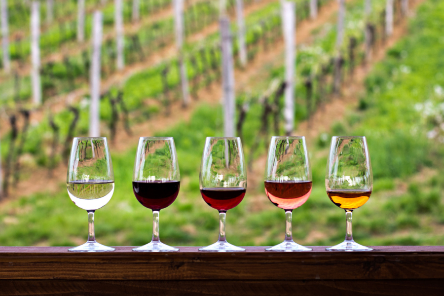 Wine Glasses with VIneyards in Background