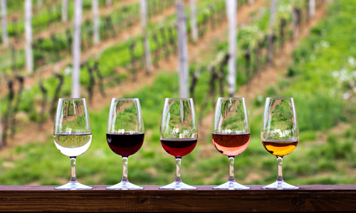 Wine Glasses with VIneyards in Background