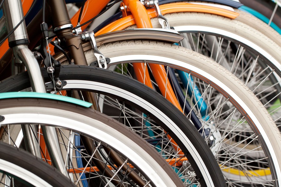 Bicycles Lined Up