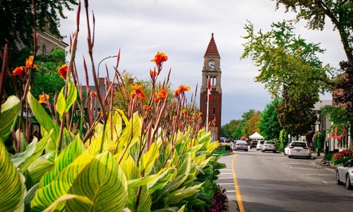 Afternoon strolls, boutique shops, and blooms in every direction — Queen Street captures the heart of Niagara-on-the-Lake living. ✨