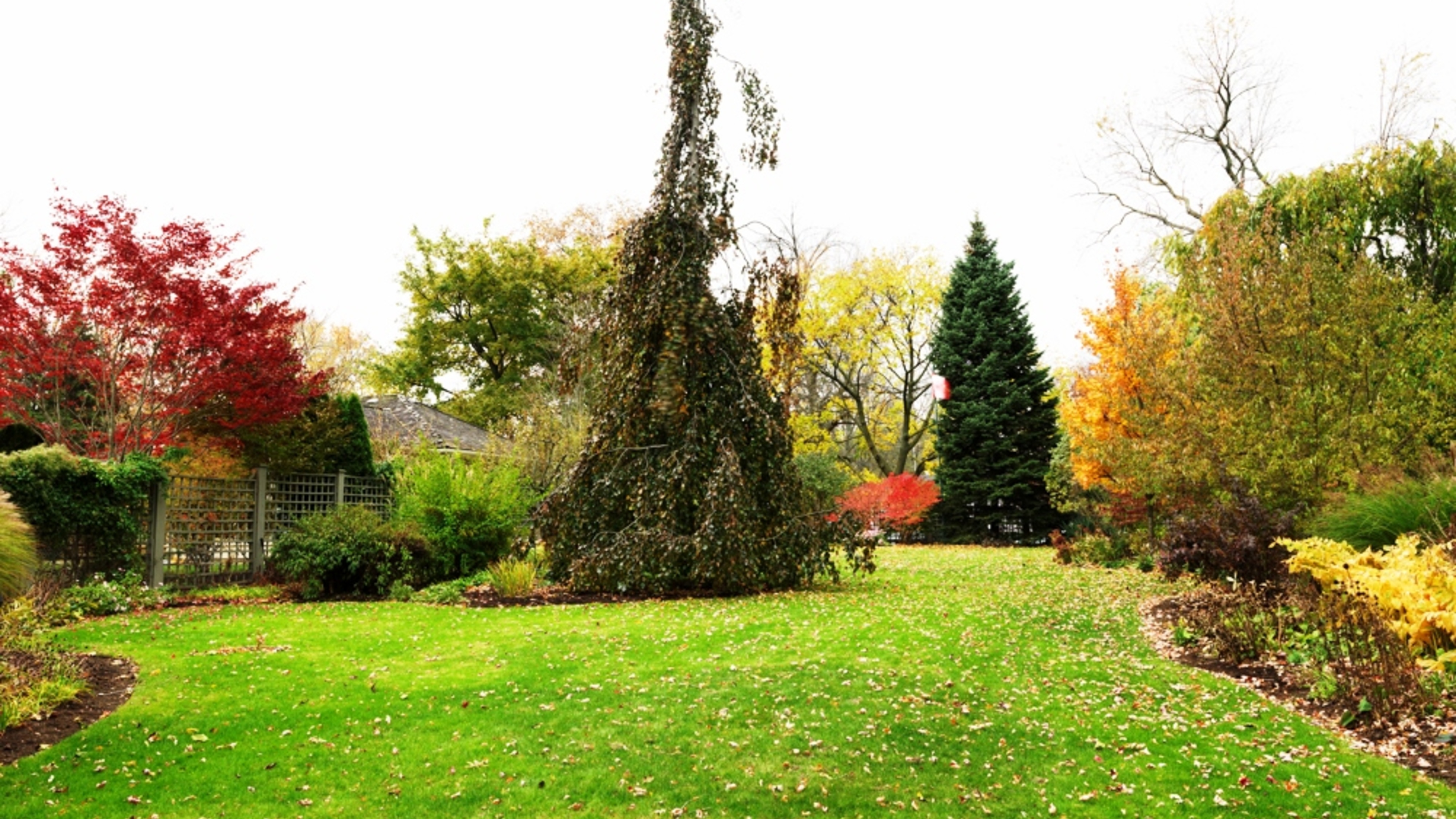 127 Gage Street, Niagara on the Lake Our Listings Niagaraonthe